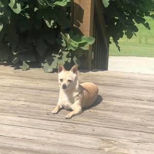 Meet your Posher, Stacy